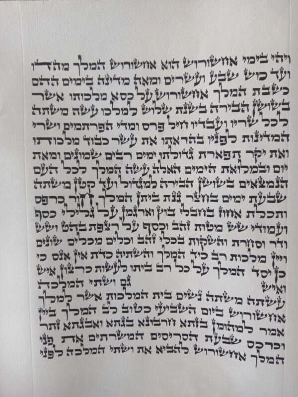 ⁦מגילת אסתר על קלף מהודרת 28 ס"מ - בית יוסף⁩ – תמונה ⁦6⁩
