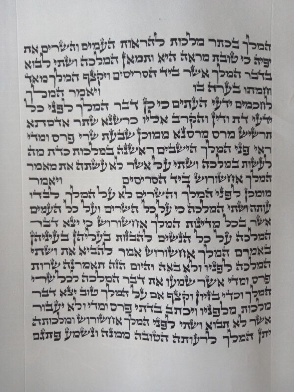 ⁦מגילת אסתר על קלף מהודרת 28 ס"מ - בית יוסף⁩ – תמונה ⁦4⁩