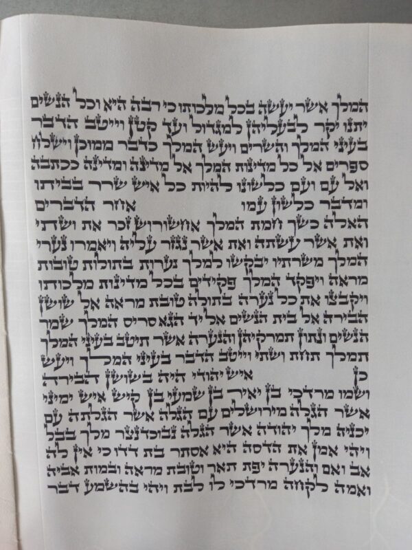 ⁦מגילת אסתר על קלף מהודרת 28 ס"מ - בית יוסף⁩ – תמונה ⁦7⁩