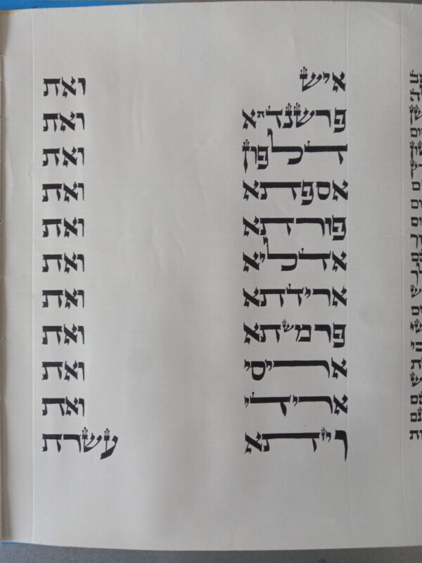 מגילת אסתר על קלף מהודרת 28 ס"מ - בית יוסף