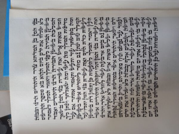 ⁦מגילת אסתר על קלף מהודרת 28 ס"מ - בית יוסף⁩ – תמונה ⁦2⁩