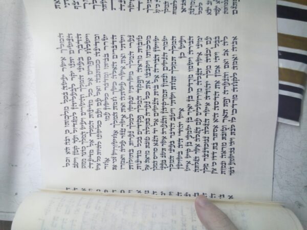 ⁦מגילת אסתר על קלף מהודרת 30 ס"מ - האר"י⁩ – תמונה ⁦3⁩