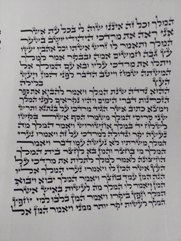 מגילת אסתר על קלף מהודרת 24 ס"מ - האר"י