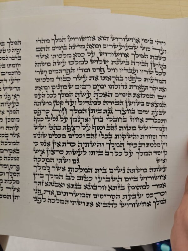 מגילת אסתר על קלף מהודרת  24 ס"מ - האר"י